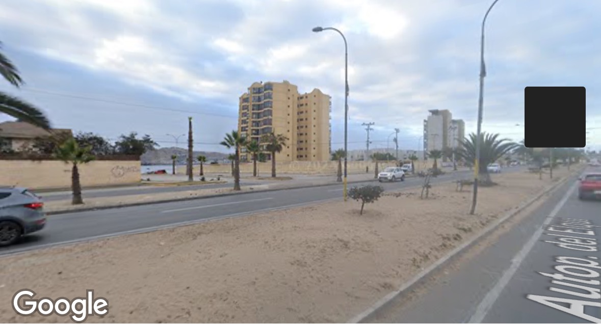 Baños shell - Coquimbo