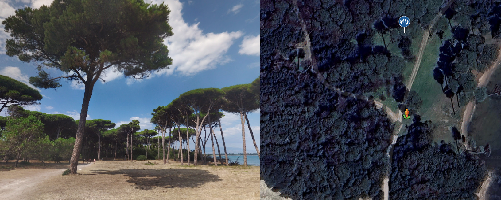 Pineta Torre Astura - Nettuno