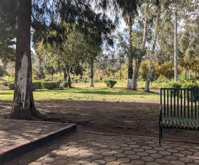 Parque vallecitos - La Joya