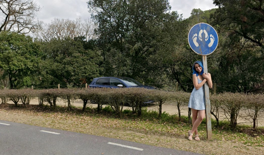 Curva detrás de los arbustos